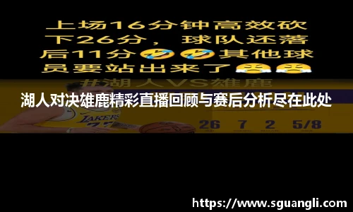 湖人对决雄鹿精彩直播回顾与赛后分析尽在此处